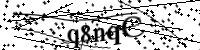 請輸入下列字母