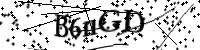 請輸入下列字母