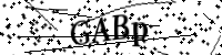 請輸入下列字母