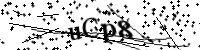 請輸入下列字母
