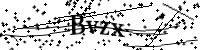 請輸入下列字母