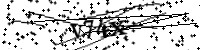請輸入下列字母