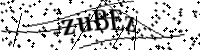 請輸入下列字母