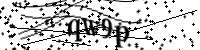 請輸入下列字母