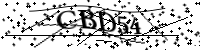 請輸入下列字母