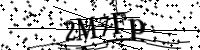 請輸入下列字母