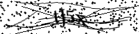 請輸入下列字母