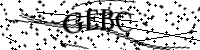 請輸入下列字母