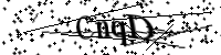 請輸入下列字母