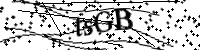 請輸入下列字母
