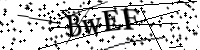 請輸入下列字母