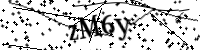 請輸入下列字母