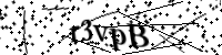 請輸入下列字母