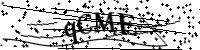請輸入下列字母
