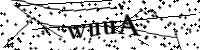 請輸入下列字母