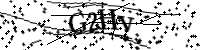請輸入下列字母