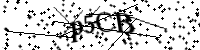 請輸入下列字母