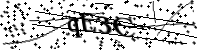 請輸入下列字母