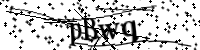 請輸入下列字母