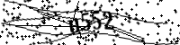 請輸入下列字母