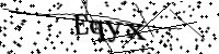 請輸入下列字母