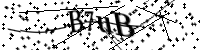 請輸入下列字母
