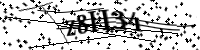 請輸入下列字母