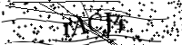 請輸入下列字母