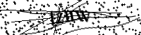 請輸入下列字母