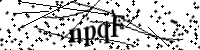 請輸入下列字母