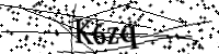 請輸入下列字母