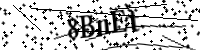 請輸入下列字母