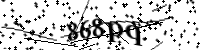 請輸入下列字母