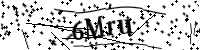 請輸入下列字母