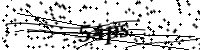 請輸入下列字母