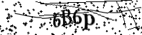 請輸入下列字母