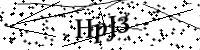 請輸入下列字母