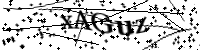 請輸入下列字母