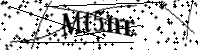 請輸入下列字母