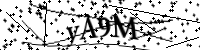 請輸入下列字母