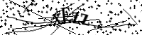 請輸入下列字母
