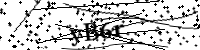 請輸入下列字母
