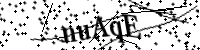 請輸入下列字母