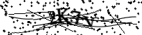 請輸入下列字母