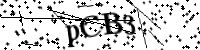 請輸入下列字母