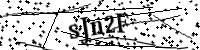 請輸入下列字母