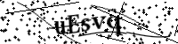 請輸入下列字母