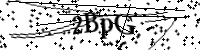 請輸入下列字母