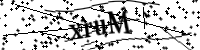 請輸入下列字母