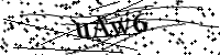 請輸入下列字母